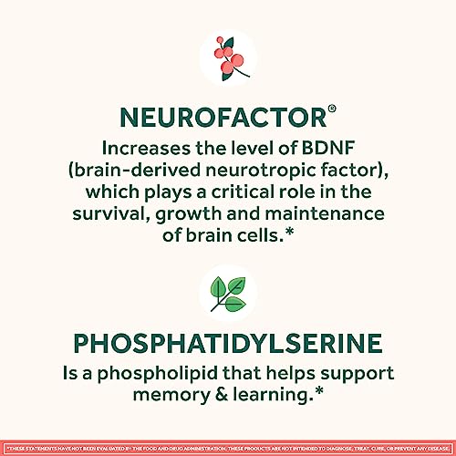 Original Brain Supplement for Memory, Focus &amp; Concentration + Learning &amp; Accuracy with Clinically Tested Nootropics Phosphatidylserine and Neurofactor, Strawberry Flavor, 50 Gummies