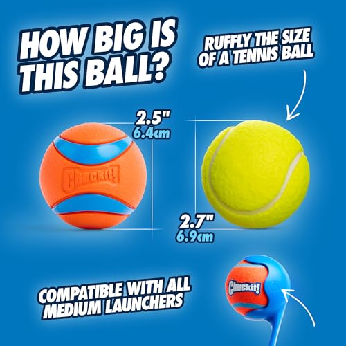 Ultra Ball Dog Toy - Medium Bouncy Fetch Balls For Dogs 20-60 lbs - Made from Durable Rubber - Floating Water Pet Toys - Size Medium - 2.5-inch Diameter - Pack of 2
