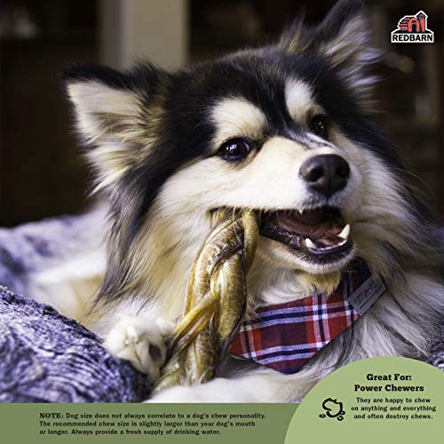 Redbarn 7 Braided Bully Sticks for Dogs. Natural, Highly Palatable, Long-Lasting Dental Chews Sourced from Free-Range, Grass-Fed Cattle (20 Sticks)