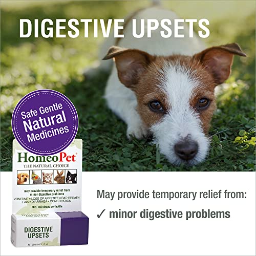 Digestive Upsets, Natural Pet Digestive Support, Digestive Supplement for Dogs, Cats, and Small Pets, 15 Milliliters