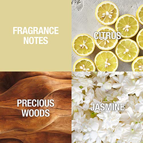 Women&#39;s Fragrance , Sung Eau De Toilette EDT Spray, 3.4 Fl Oz