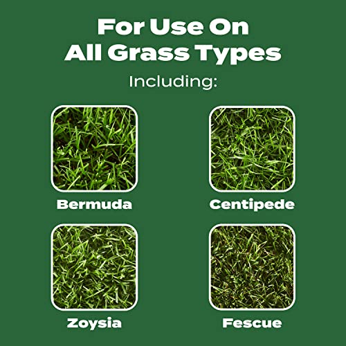 Turf Builder Lawn Food - Fertilizer for All Grass Types, 5,000 sq. ft., 12.5 lbs.