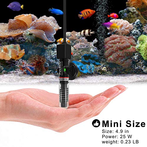 25W Small Aquarium Submersible Betta Heater with Free Thermometer Strip, Under 6 Gallon Fish Tanks (Preset Temperature 78)
