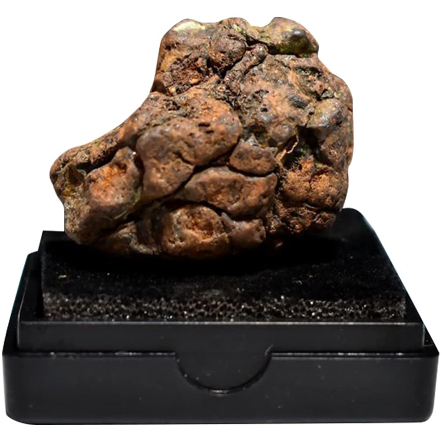 Meteorite Real Space Rock in Treasure Chest Box Display