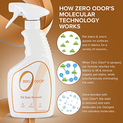 - Pet Stain Remover &amp; Odor Eliminator - Permanently Remove Stain &amp; Odor with Patented Technology Best for Carpet, Furniture, Floors, Pet Bed– Look and Smell Great, 16oz (Over 400 Sprays)