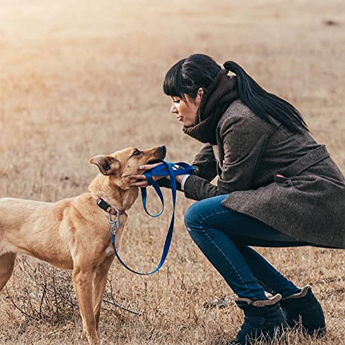 Carabiner Clip, Double Anti-Misopening Locking Design, 2.95&#39;&#39; in Alloy Carabiner Keychain for Outdoor Camping, Key Ring Clip (Black)