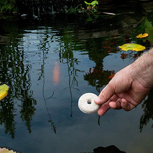 Mosquito Dunks 102-12 Mosquito Killer for Bird,Fish, 2 Pack