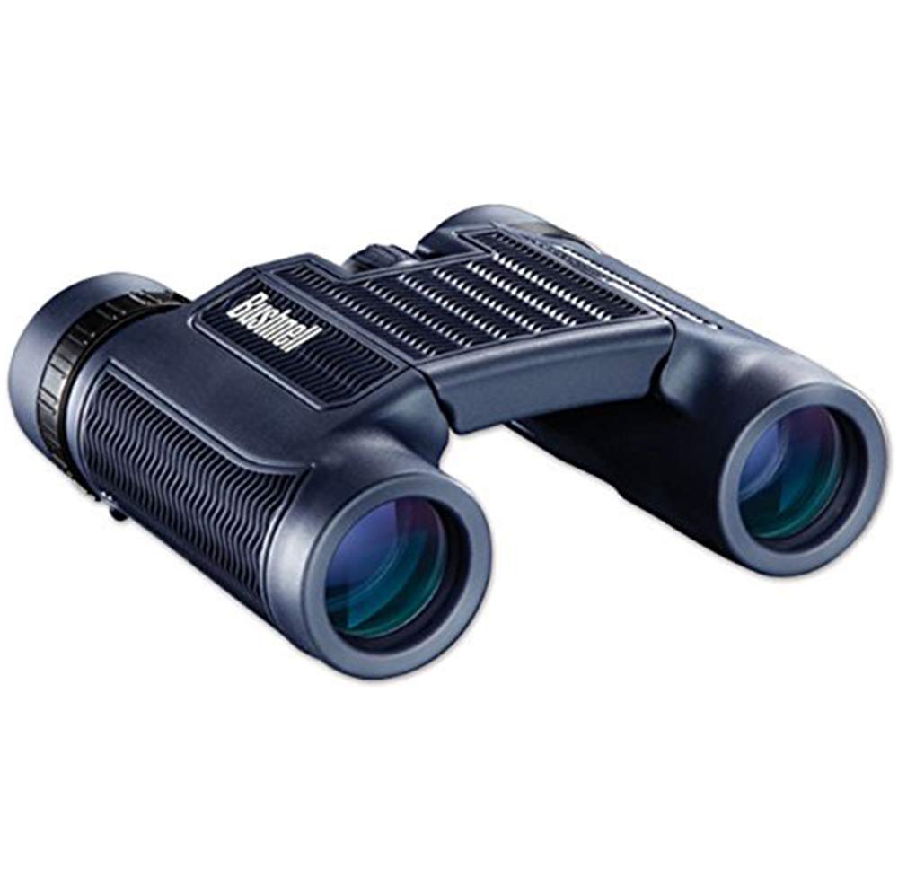 138005 H2O Waterproof/Fogproof Compact Roof Prism Binocular, 8 x 25-mm, Black