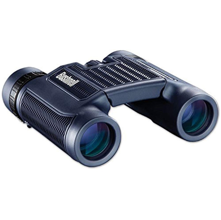138005 H2O Waterproof/Fogproof Compact Roof Prism Binocular, 8 x 25-mm, Black