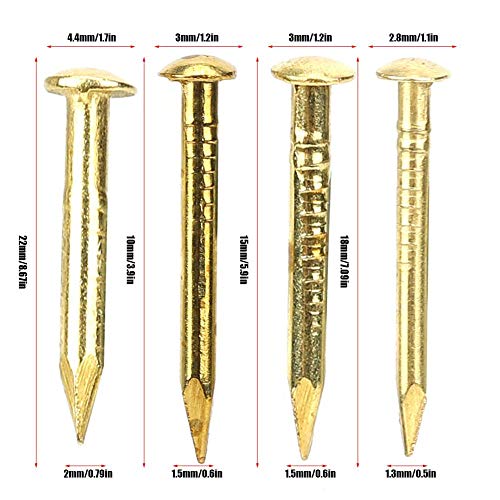 100Pcs Brass Escutcheon Tacks, Round Head Brass Brad Nail Hardware Nail Assortment Kit Furniture Hinge Hardware Accessories 10mm/15mm/18mm/22mm(18mm Length)