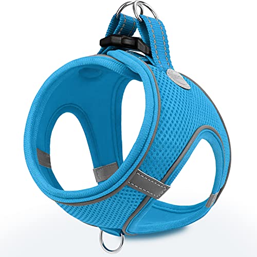 Small Dog Harness, Breathable Mesh Step-in Vest Harness, Reflective Soft Padded Harnesses Small Sized Dog for Walking, Sky Blue, S
