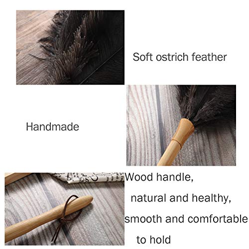 Feather Duster, Ostrich Feather Duster Ddzmz Fluffy Nat