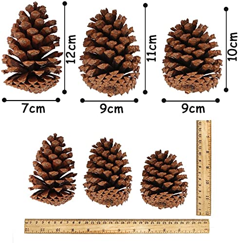 JOHOUSE 3.5-5Inch Natural Pine Cones, Large Pinecone,Ch