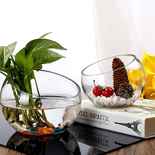 WGVI Clear Slant Cut Bowl Glass Vase, Glass Terrarium, 