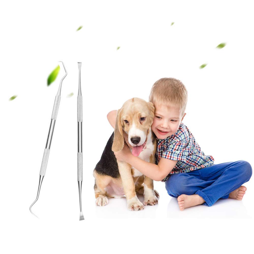 Dog Teeth Cleaning Tools Tarter Remover Canine Dental Scraper Scaler Tools Pet Tooth Cleaner Stainless Steel with Double Head