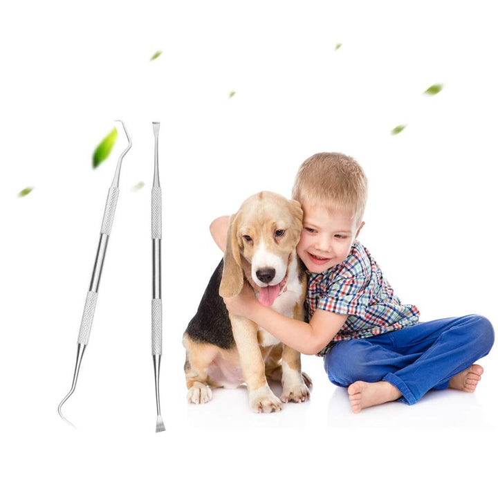 Dog Teeth Cleaning Tools Tarter Remover Canine Dental Scraper Scaler Tools Pet Tooth Cleaner Stainless Steel with Double Head