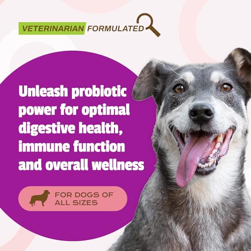 Daily Probiotic for Dogs, Duck Flavor, 160 Chews - 120M CFUs Pre and Probiotics for Dogs Digestive Health, Gut Health, Immune Support, Diarrhea, Allergies and Itching