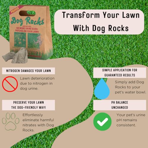 Dog Pee Grass Neutralizer for Green Grass in 3-5 Weeks | Dog Grass Saver Rock | 100% Natural Urine Neutralizer for Lawn, Grass and Hedges | 600 grams