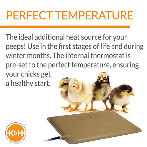 K&amp;H Pet Products Thermo-Peep Heated Chicken Pad for Brooders and Chicken Coops, Warming Chick Nesting Pad Coop Accessory Mat, Heat Lamp Alternative, Safety Listed - Petite 9 X 12in Tan 20W