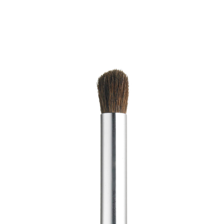 Blended Eye Brush, 2 Ounce (Pack of 6)