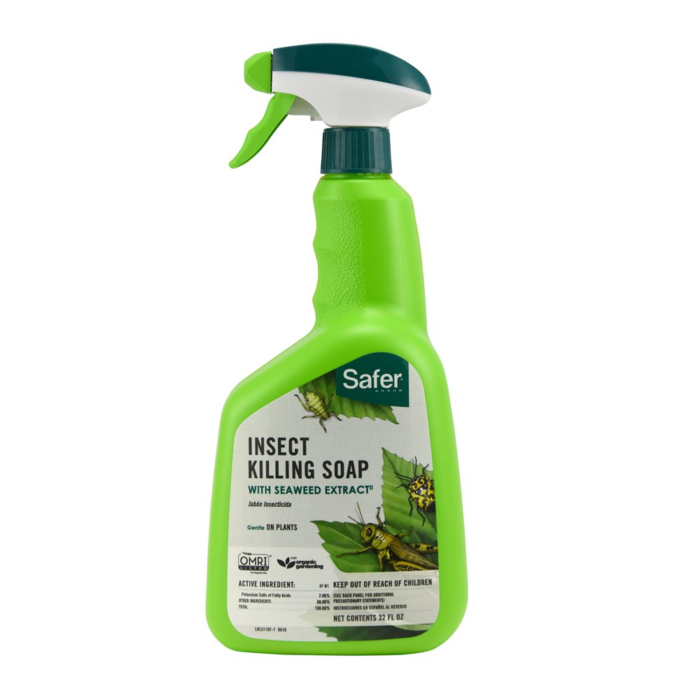 Brand 5110-6 Insect Killing Soap, 32 Oz.