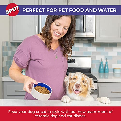 by Ethical Products – Ceramic Stoneware Pet Bowl for Cats and Small Dogs,Classic Heavy Duty Non Slip Ceramic Cat Dish Dog Bowls for Food and Water