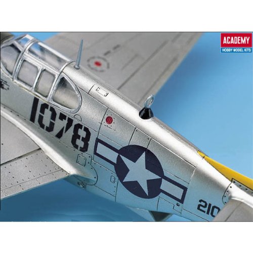 The Fighter of World War II P-51C Model Kit, Gray