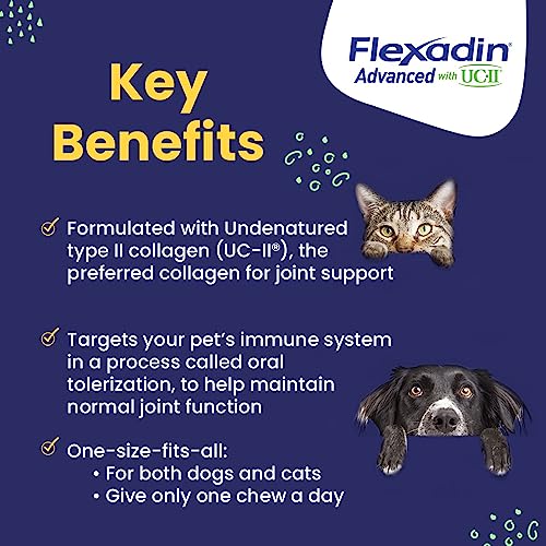 Flexadin Advanced Dog Hip and Joint Supplement with UC-II Collagen, One Chew a Day Hip and Joint Support Chew for Dogs and Cats, Clinically Proven Vet-Approved Formula, 60 Chews