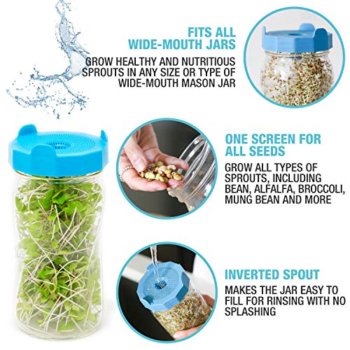 Bean Screen Plastic Mason Jar Sprouting Lids Mason Jar Sprouting Kit – For Growing Broccoli Seeds, Alfalfa, Mung Bean Sprouts – Wide Mouth Seed Sprouting Jar Lids Sprouting Kit Mason Jar