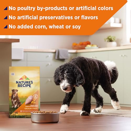 Nature’s Recipe Grain Free Chicken, Sweet Potato &amp; Pumpkin Recipe Dry Dog Food, 24 lb. Bag