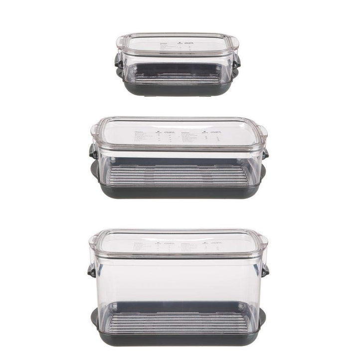 Progressive Berry ProKeeper, 1.2-Quart, Strawberries, Blueberry, Fruit Vegetable Container,Black