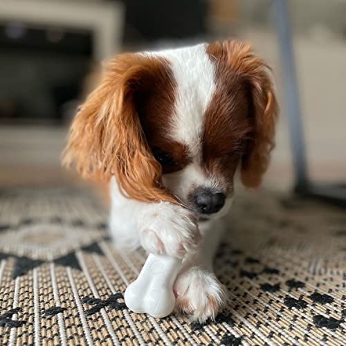 Original Bone Power Chew Toy for Dogs, Durable Dog Toys for Aggressive Chewers, Peanut Butter Flavor, Small - Up to 25 Ibs, 3 Pack