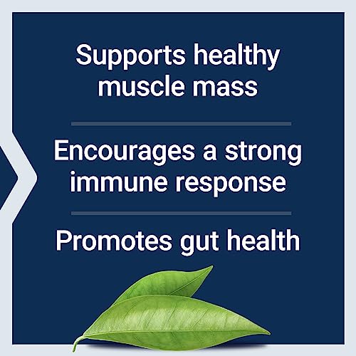 L-Glutamine, 500 mg L-glutamine, Amino Acid, Supports Muscle Health and Immune Health, Gluten-Free, Non-GMO, 100 Vegetarian Capsules