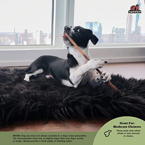 Redbarn All-Natural 7 Bully Sticks for Dogs - Premium Grain-Free &amp; Rawhide-Free Single Ingredient Long Lasting Low Odor Dental Treat for Chewers - 6 Count