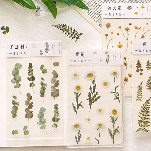 Daisy Iris Flowers Clover Eucalyptus 6 Sheets Transparent PVC Waterproof PET Decals Stickers Pack for Scrapbooking Diary Planner Album journals Phone Case Card Making Laptop Journaling