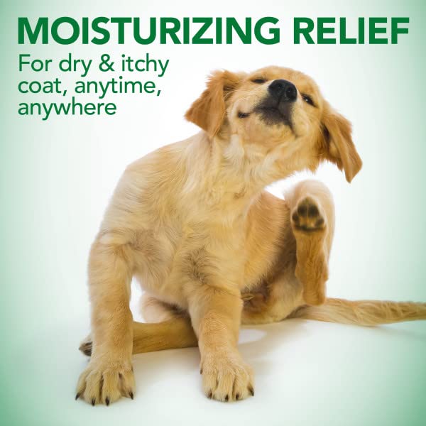 Vet&#39;s Best Moisture Mist Dog Dry Skin Conditioner| Dog Conditioner and Detangler Spray | Relieves Itchy Skin, Refreshes &amp; Soothes | 16 oz