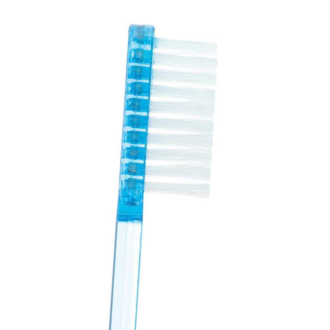 Adult Pre-Pasted Disposable Toothbrushes - 288 per pack