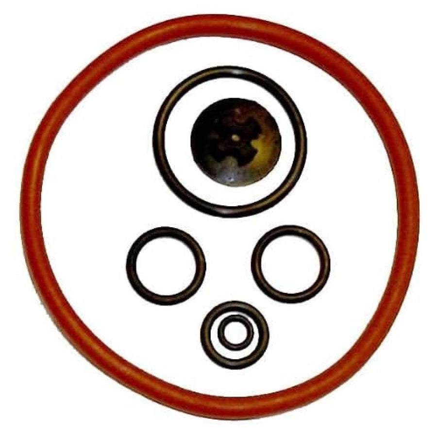 Solo 4900405-K Sprayer Pump Repair Kit for Models 454, 