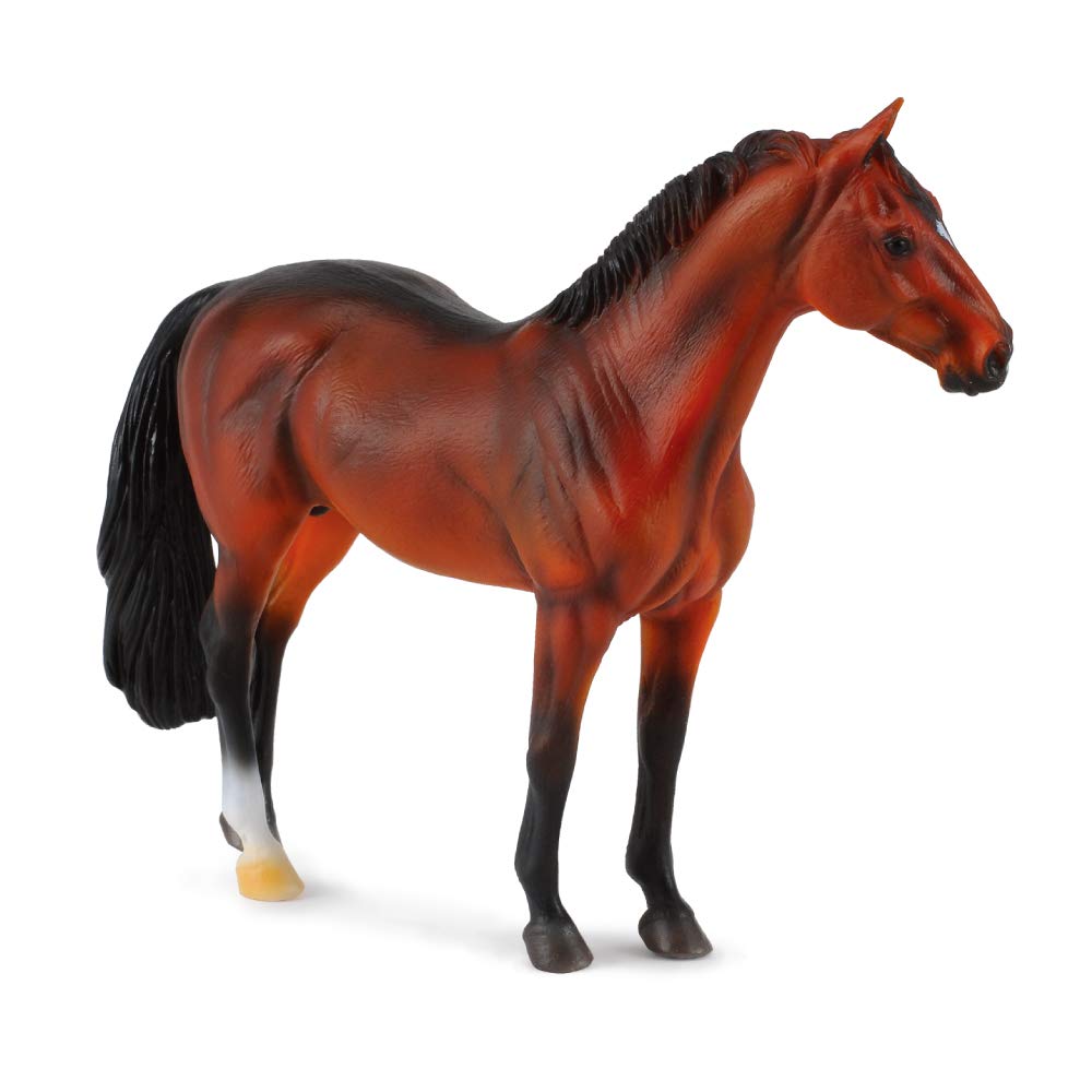 Hanoverian Stallion Bay Multi-colored, 5.7L x 4.7H