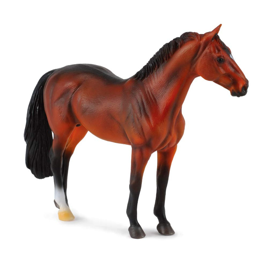 Hanoverian Stallion Bay Multi-colored, 5.7L x 4.7H