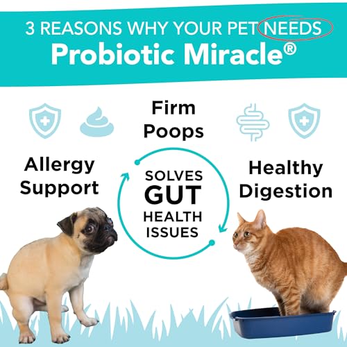 NUSENTIA Probiotics for Dogs -(360 Scoops)-Probiotic Miracle -Advanced, Species Specific Probiotics and Prebiotics to Stop Diarrhea, Loose Stool, and Yeast-Plus Immune Support