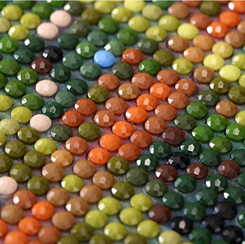 DIY 5D Diamond Painting by Number Kit for Adult, Full Drill Crystal Rhinestone Embroidery Cross Stitch Diamond Embroidery Dotz Kit Home Wall Decor 15.8×11.8 Inch (Wolf)