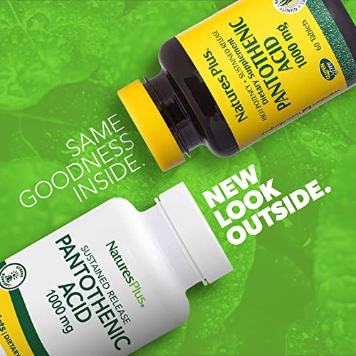 NaturesPlus Pantothenic Acid, Sustained Release - 1000 