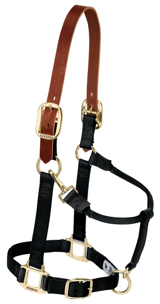 Nylon Adjustable Breakaway Horse Halter, Average, Black
