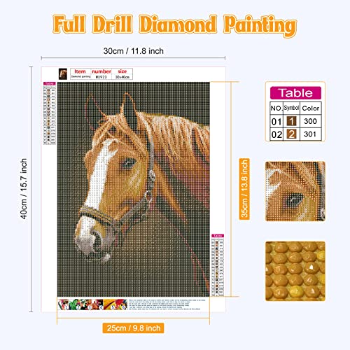 NAIMOER Horse Diamond Art Kits for Adults, Full Drill D
