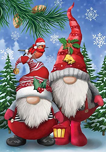NAIMOER Christmas Diamond Art Gnomes Kits for Adults, F