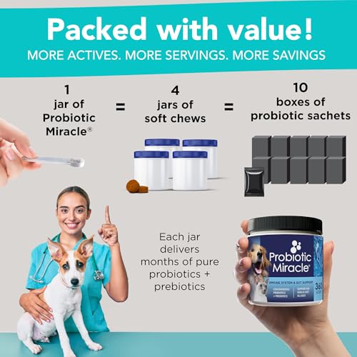 NUSENTIA Probiotics for Dogs -(360 Scoops)-Probiotic Miracle -Advanced, Species Specific Probiotics and Prebiotics to Stop Diarrhea, Loose Stool, and Yeast-Plus Immune Support