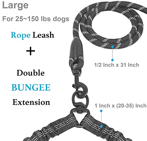 Dual Dog Leash - Tangle-Free 360° Swivel & Shock-Absorbing Bungee, Double Leash for Walking Two Dogs (Large, 25-150 lbs, Black)
