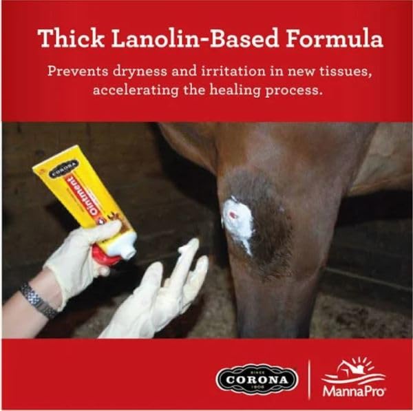 Corona Ointment for Horses Lanolin-Based Formula Helps Sooth Irritation 7 Ounces