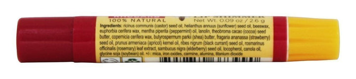 BURT&#39;S BEES LIP BALM 0.09 OZ SKINLIPS by Burt&#39;s Bees